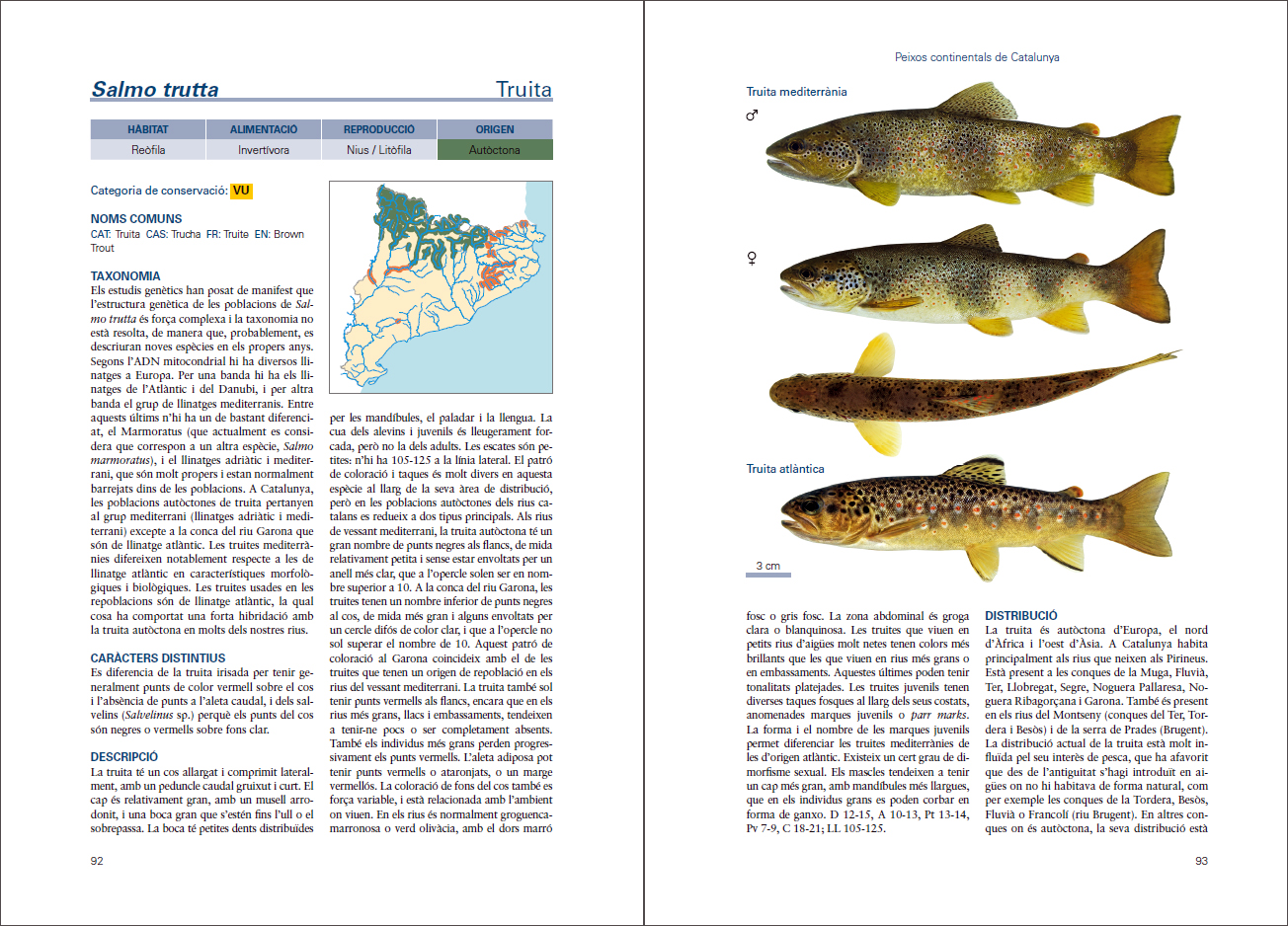 Sample page of Peixos continentals de Catalunya Peixos continentals de Catalunya sample page